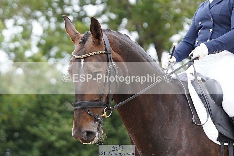 250622-134400-16032 - Cls 60 Freestyle PSG-Young Rider Inc Presentations