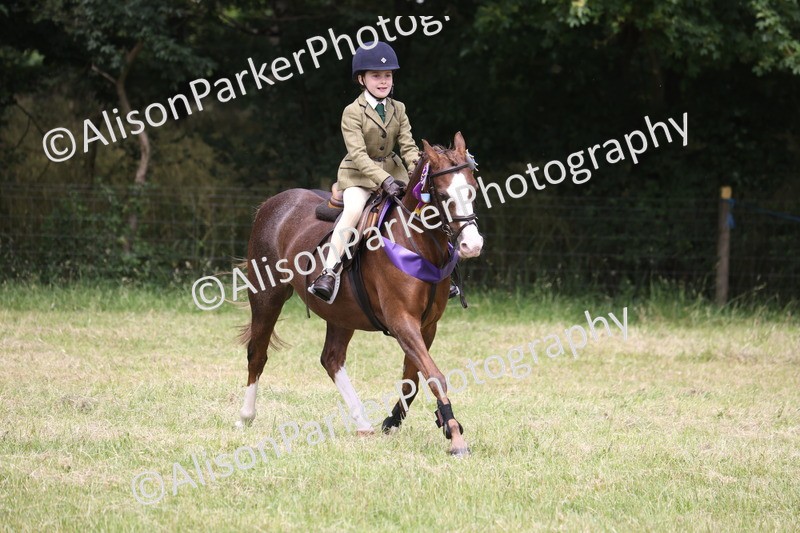 20260614-3222 - Class 22 - Open Working Hunter