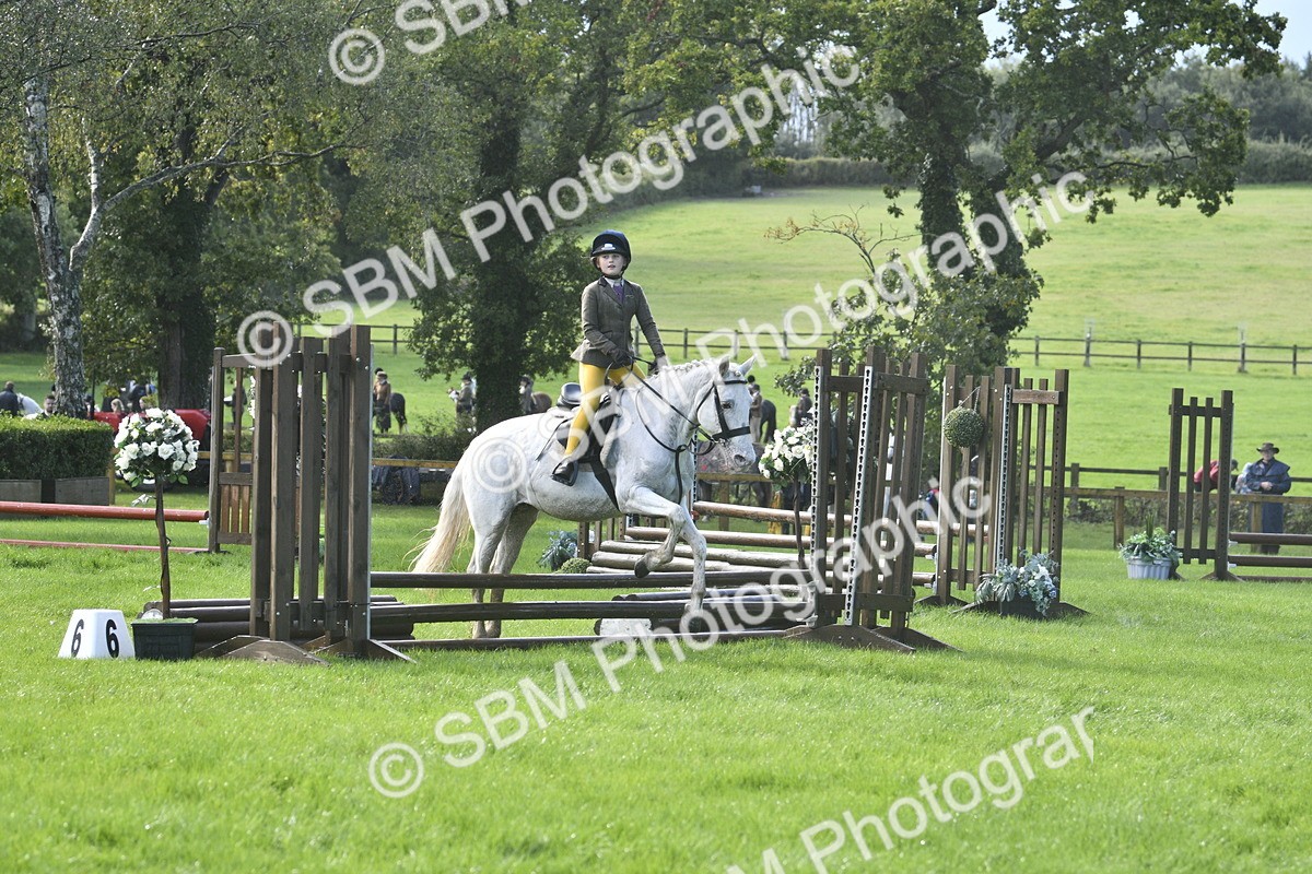 SBM_37206 - S31 - Novice & Newcomer Working Hunter Pony