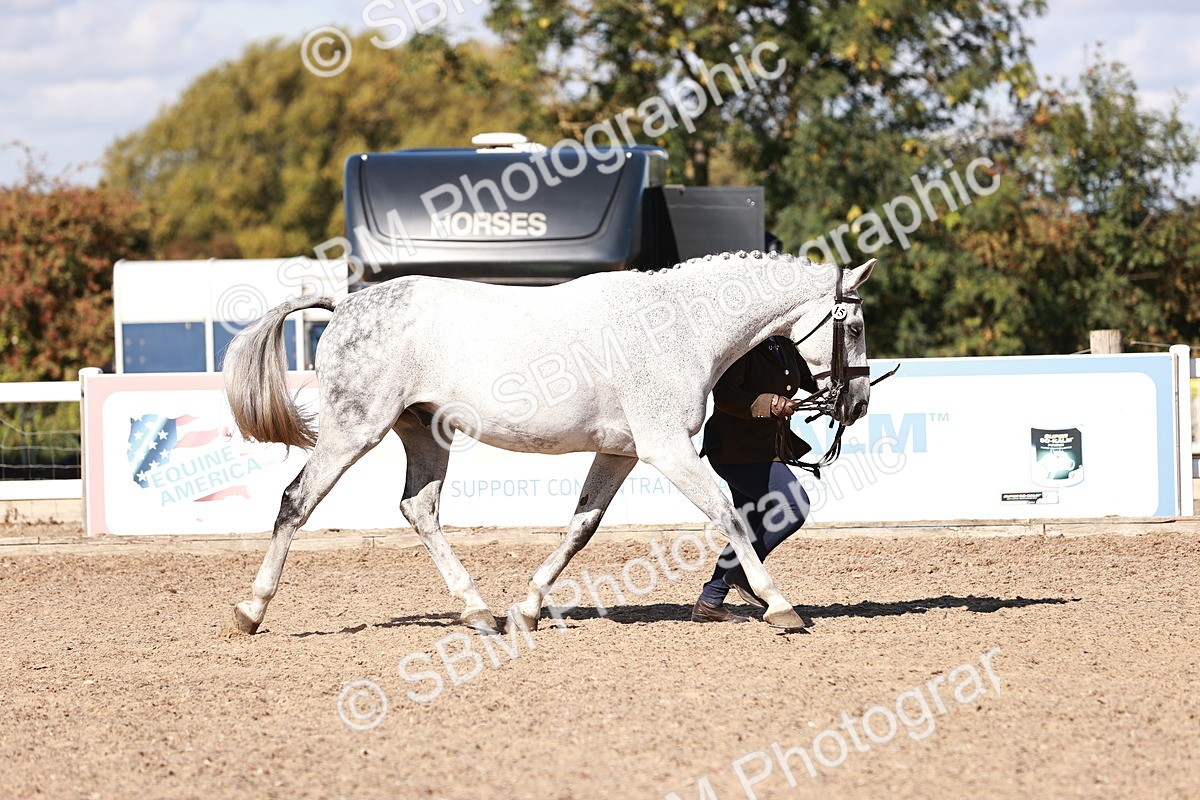 SBM_13317 - class 406 - IH Hunter