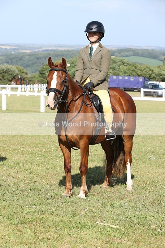 JPP_3032 - Class 20: Working Hunter 70cm