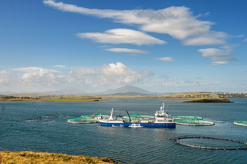 DSC_3880-Edit - Fanad & Portsalon