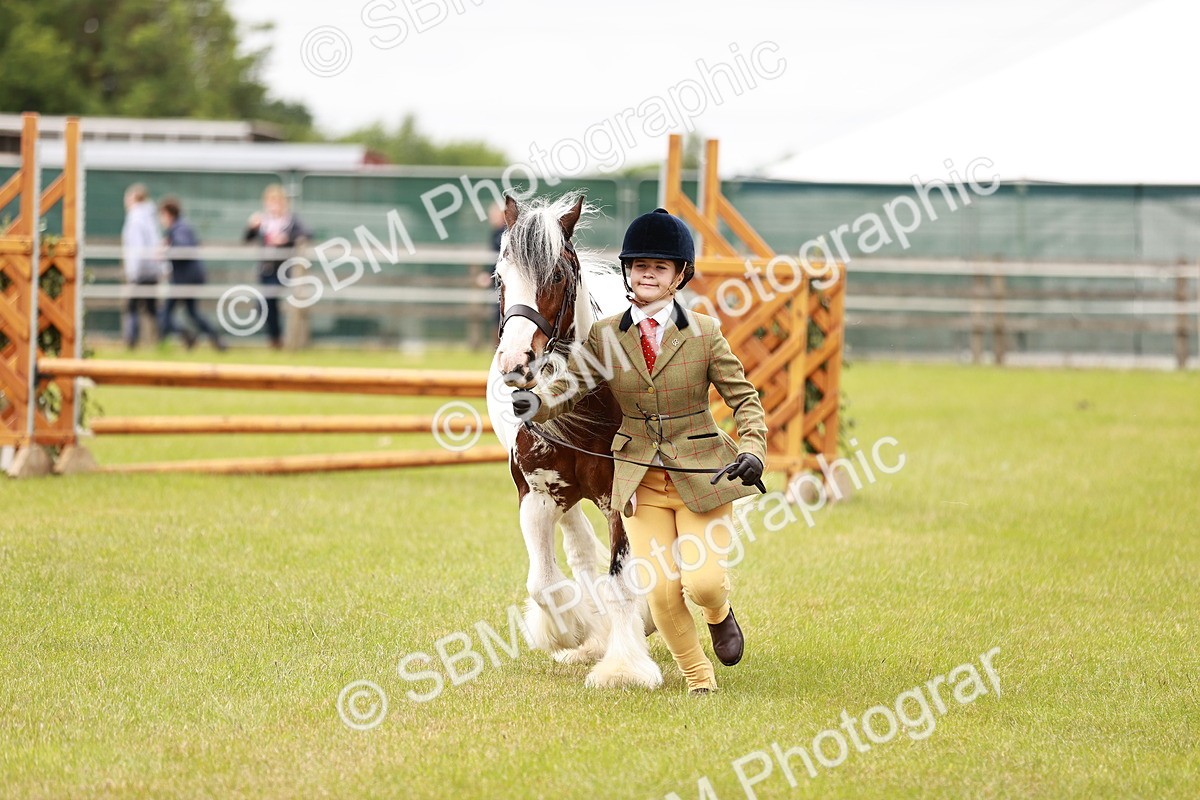 SBM_06063 - Class 39-41 TGCA In Hand and Ridden