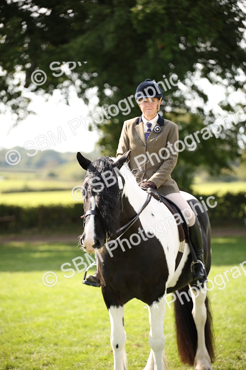 SBM_70144 - S65 - Piebald & Skewbald Horse Ridden