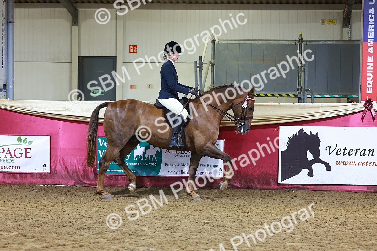 SBM_15390 - Class Q - Ridden Horse Champ
