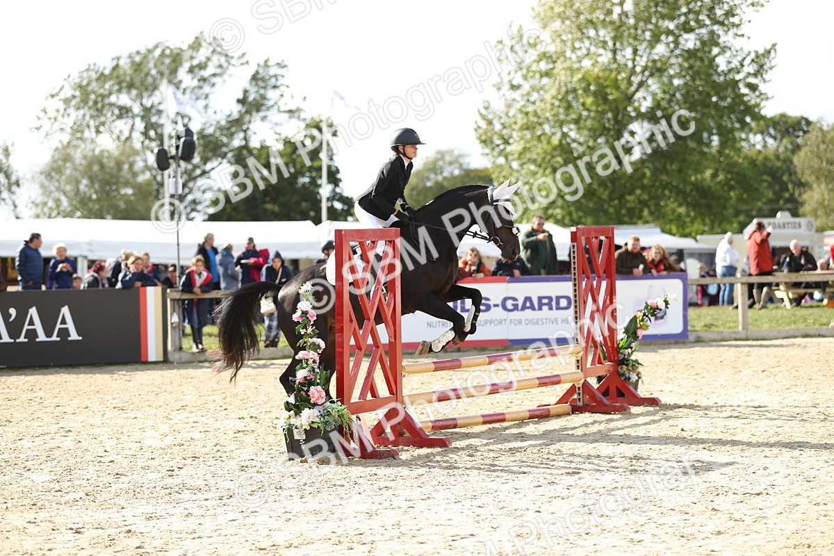 SBM_49550 - J22 - Junior Horse 65cm Championship