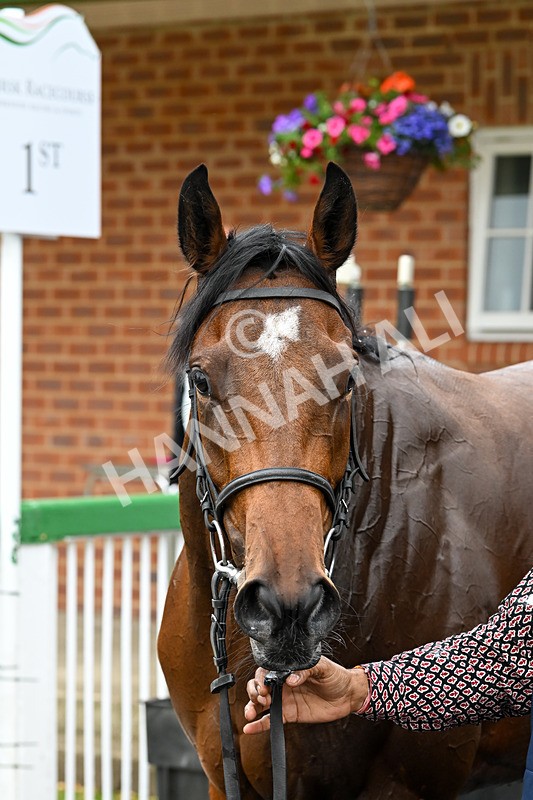 170625-Race 1-Royal Fixation-4564 - Race 1