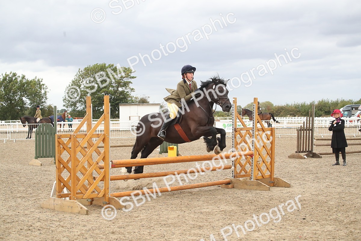 SBM_18361 - Class 509B - Working Veteran - 80cm (20+)