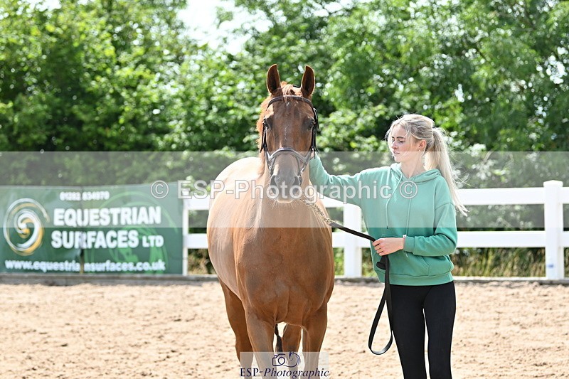 240717A-145016-02329 - Trot Up 2pm to 3pm - This folder is not in time order