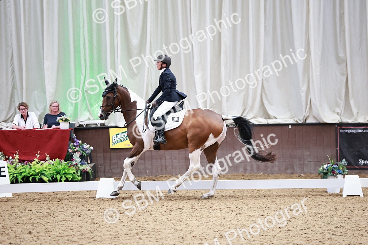 SBM_014150 - Class 7 - Ele FSM Bronze 12.12.13.08