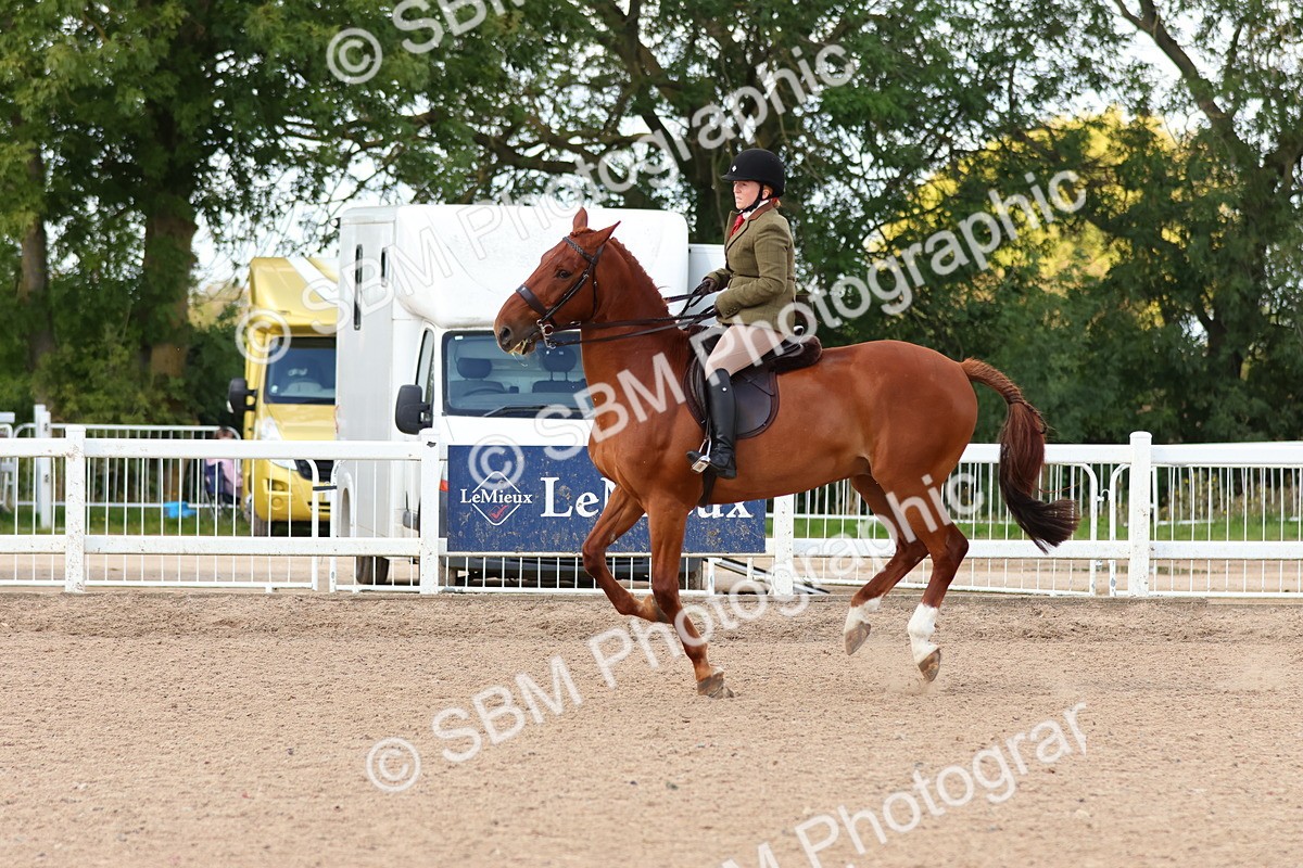 SBM_13204 - Class 211 - Ridden Hunter - Small
