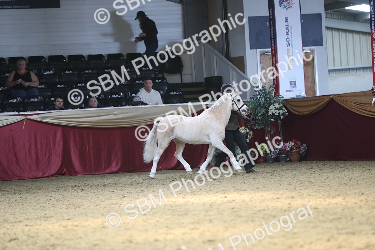 SBM_15205 - Class 501 M&M IH Supreme Final