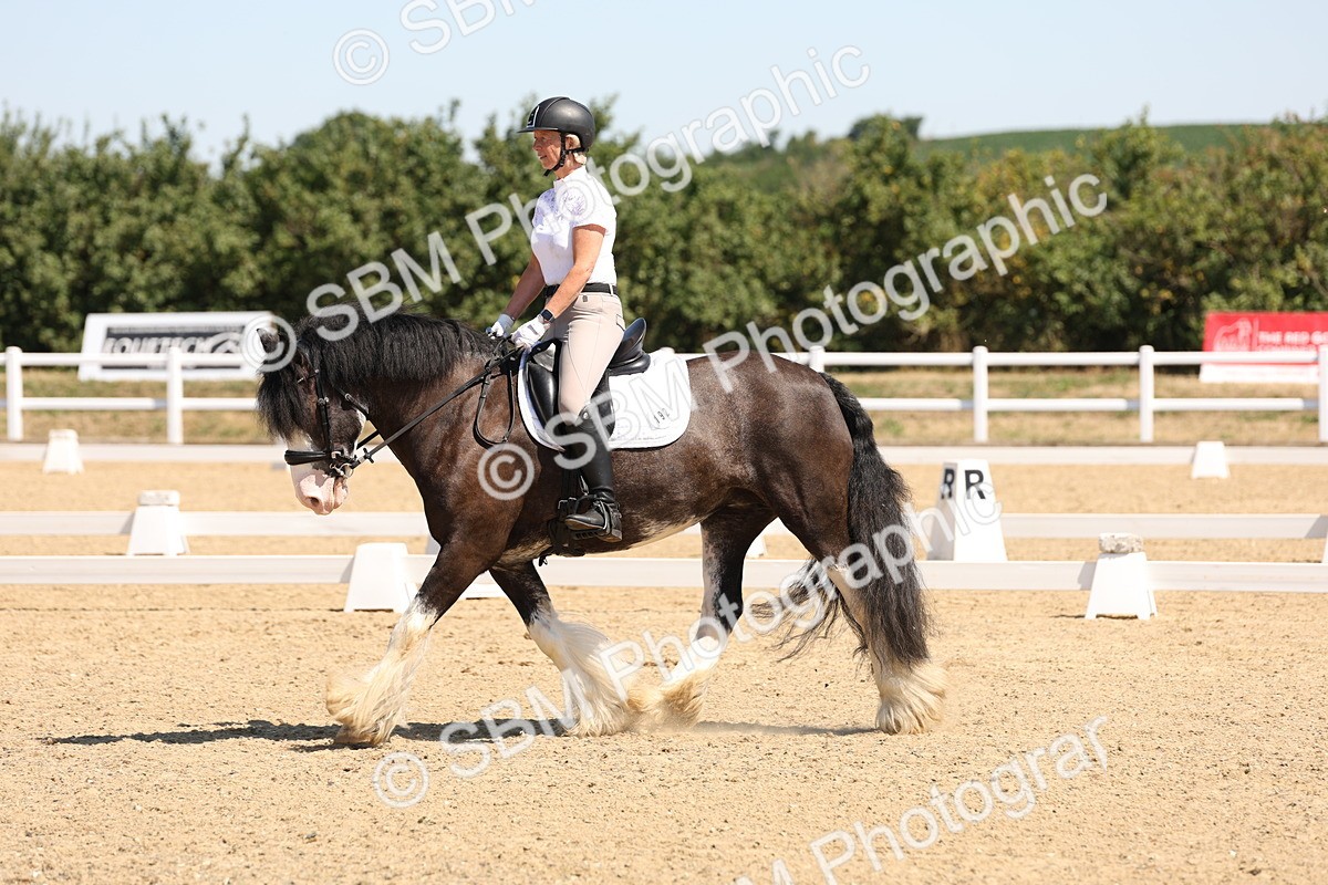 SBM_001201 - Intro 2