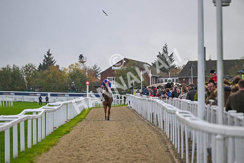 241025-Race 4-Fortune De Mer-4043 - Race 4