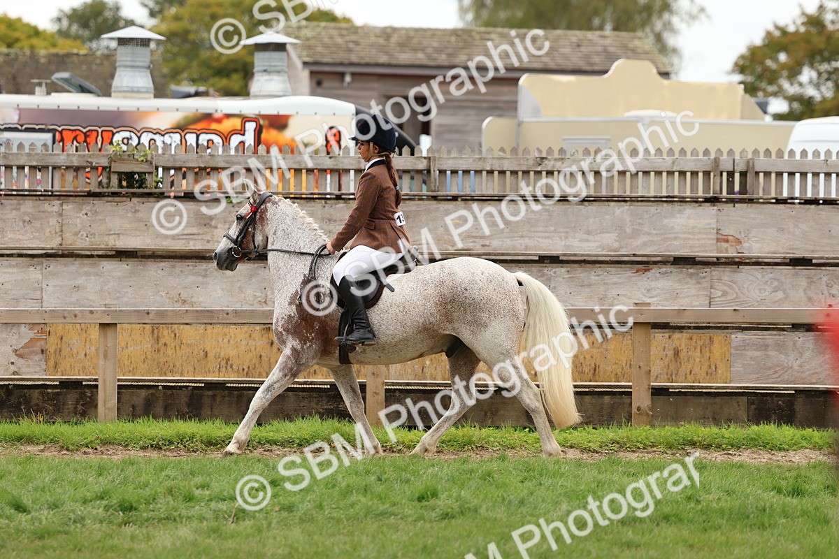 SBM_64537 - S58 - Coloured Pony Ridden