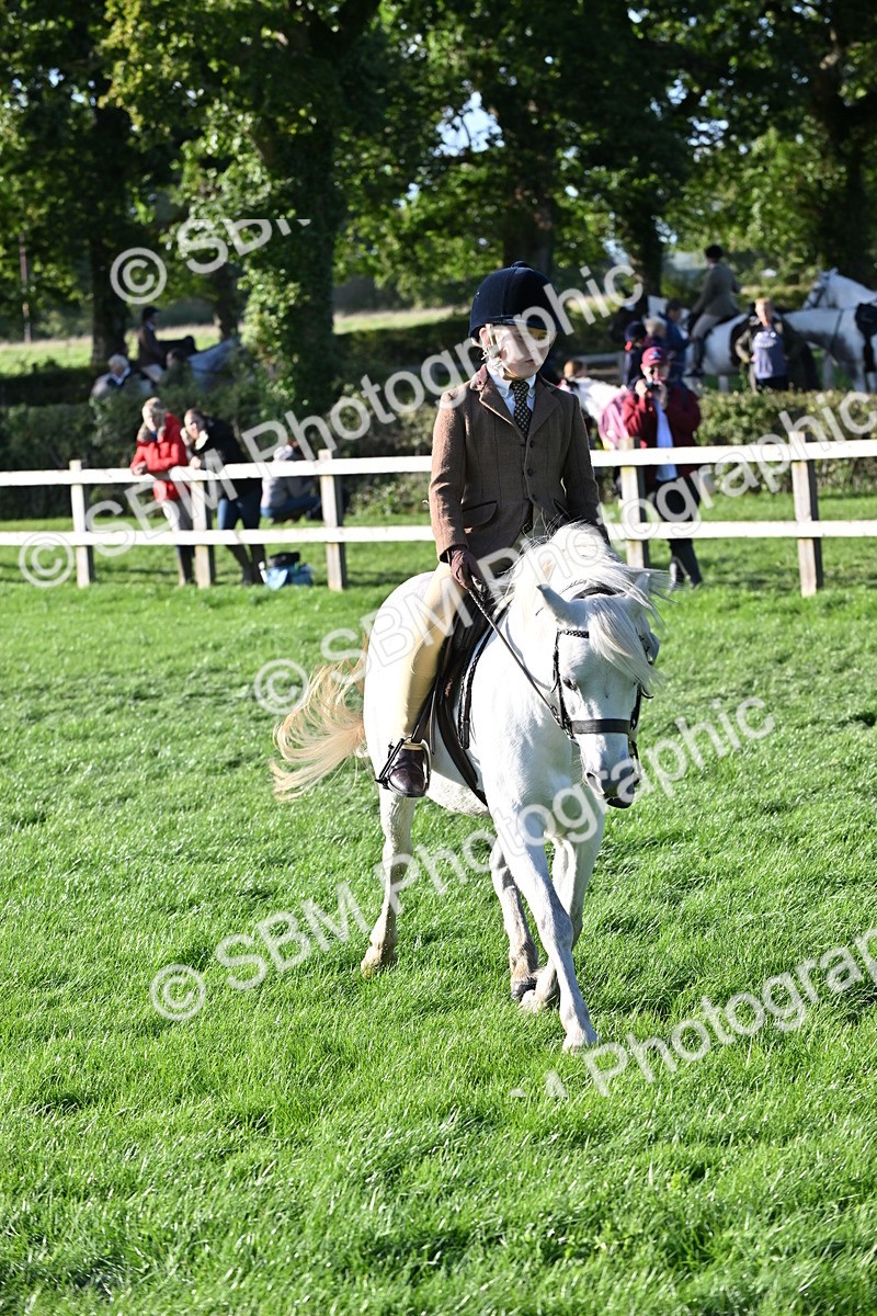 SBM_53031 - S23 - First Ridden Mountain & Moorland Pony