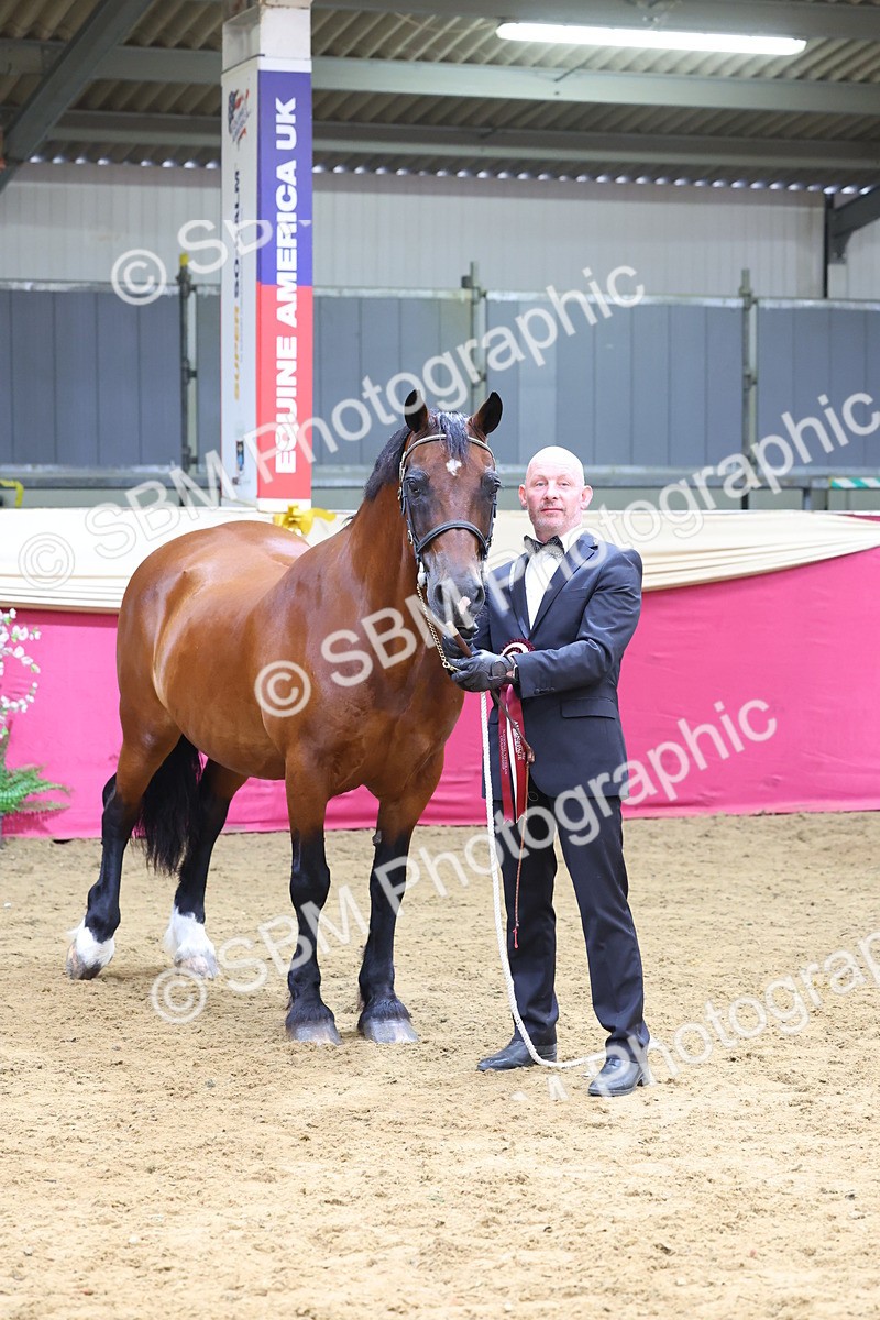 SBM_22963 - Class 903 - Supreme Final - IH Pre Vet