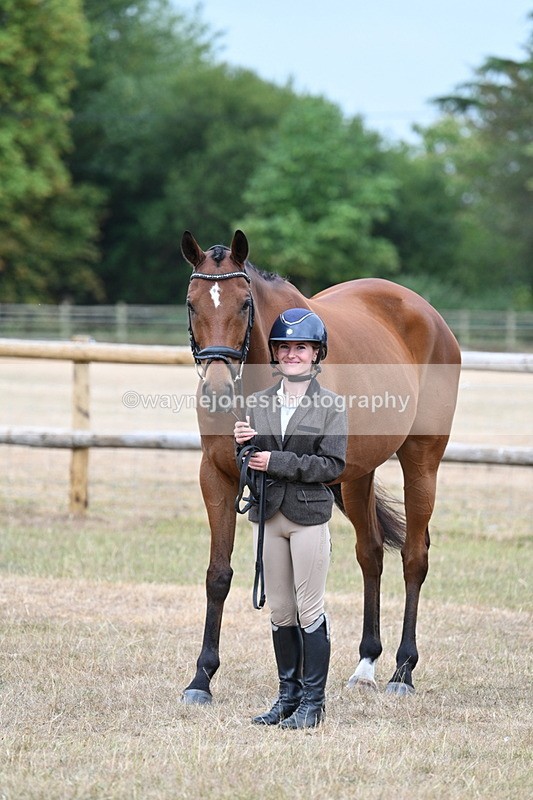 WJ7_9925 - Class 5a Most Handsome Gelding (above 14.2hh)