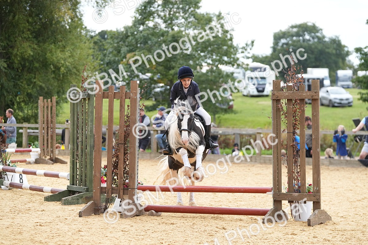 SBM_74773 - J4 - Mini Tour Junior Pony 45cm Championship
