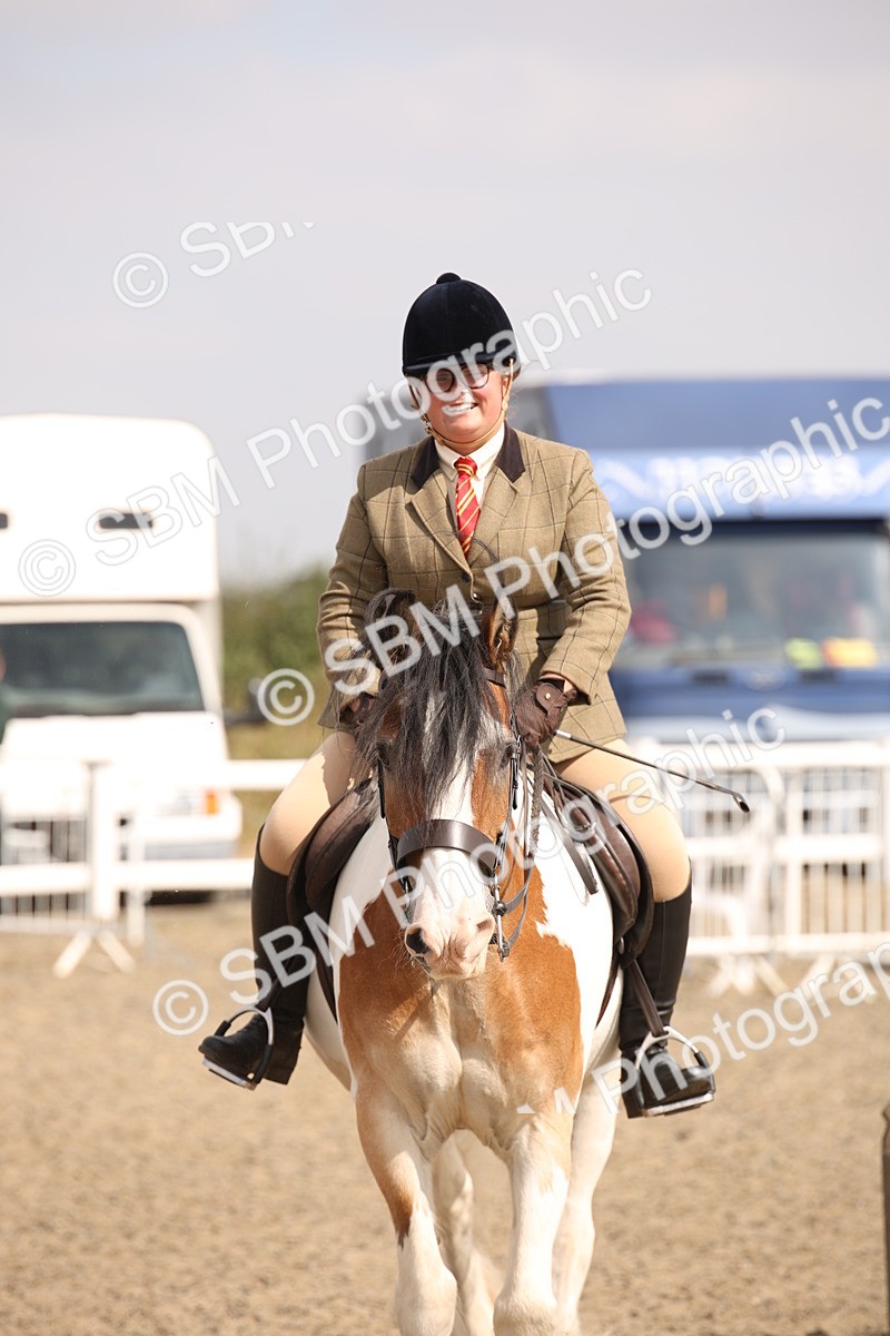 SBM_14296 - Class 407b - Working Veteran 60cm (20+)