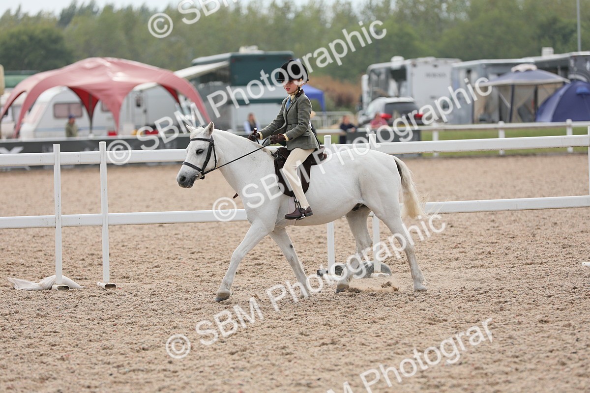 SBM_16918 - Class 314 Family Horse/Pony