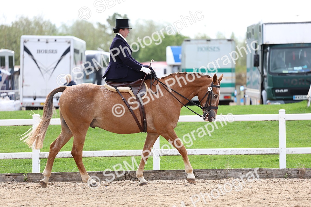 SBM_03378 - Class 24 - SSA Concours d'elegance (any age)