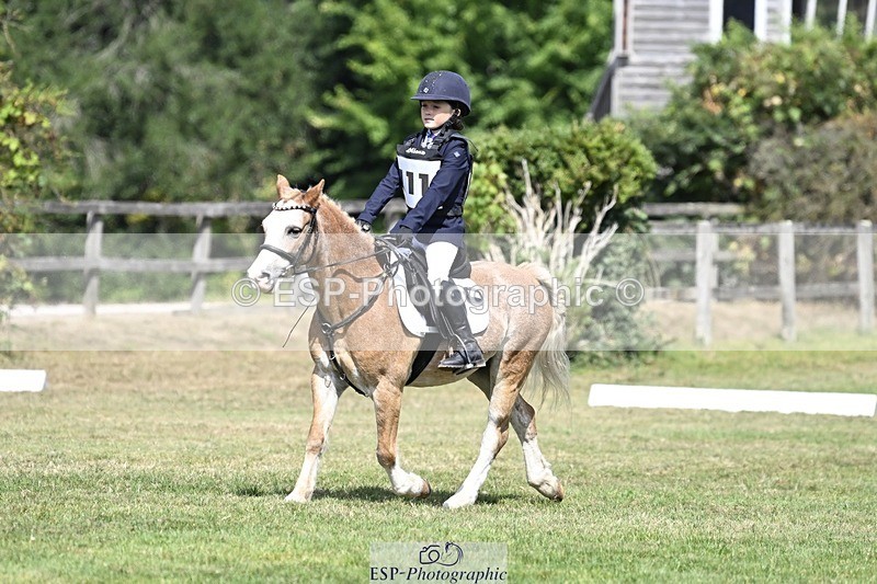 250821A-121333-15480 - DR 11.00 to 12.00