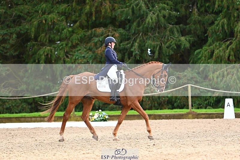 231021-161102-21046 - 264-BEST.ENDEAVOUR-Freddie.Taylor-DR