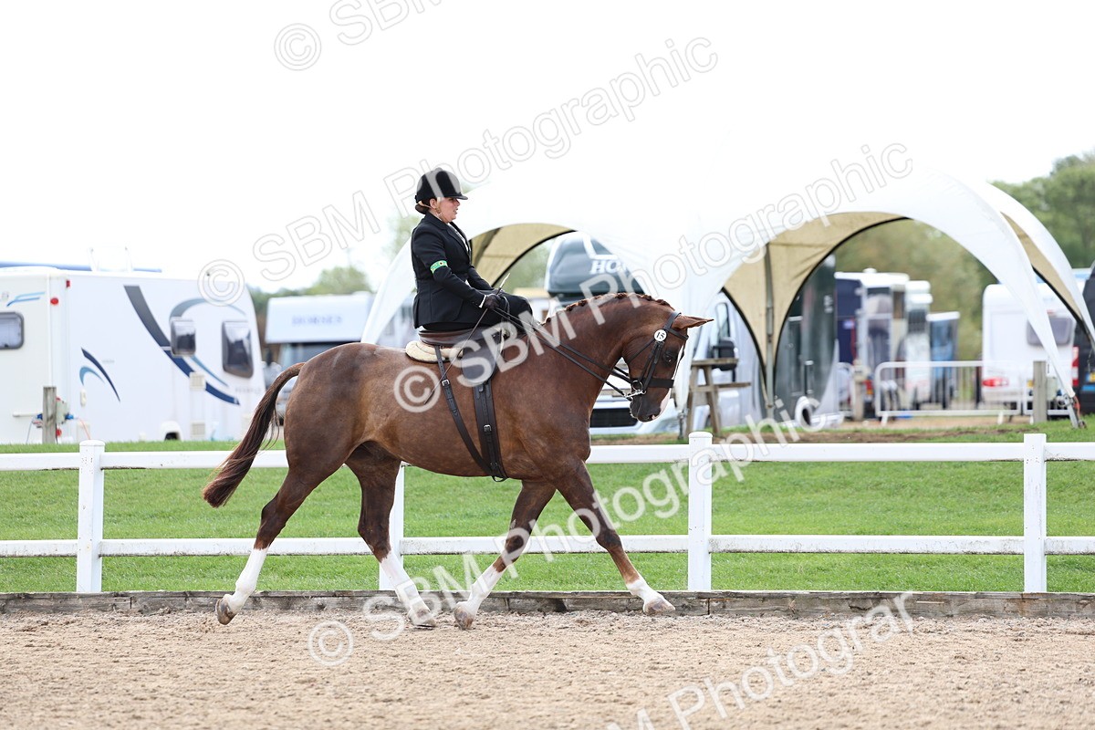 SBM_03178 - Class 22 - SSA Equitation (any age)