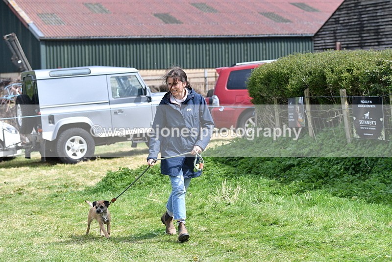 WJ5_0420 - Class 7 Best Terrier