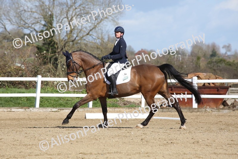 20260314-4107 - CT4 - Novice 1