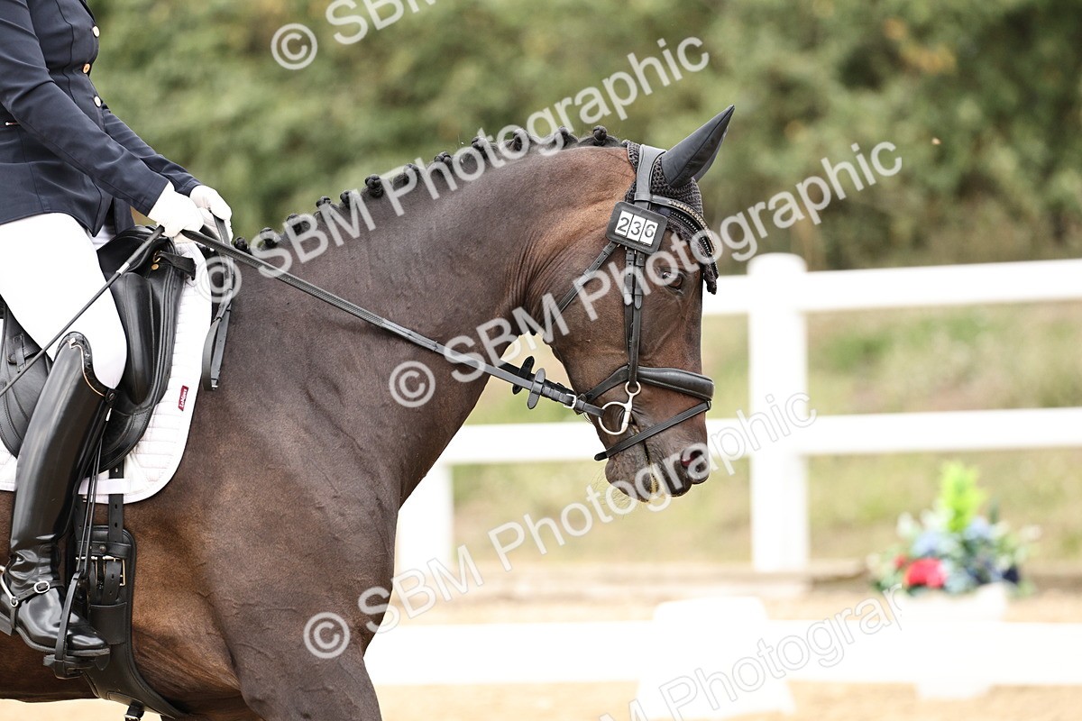 SBM_019669 - Class 18 - Elementary 5