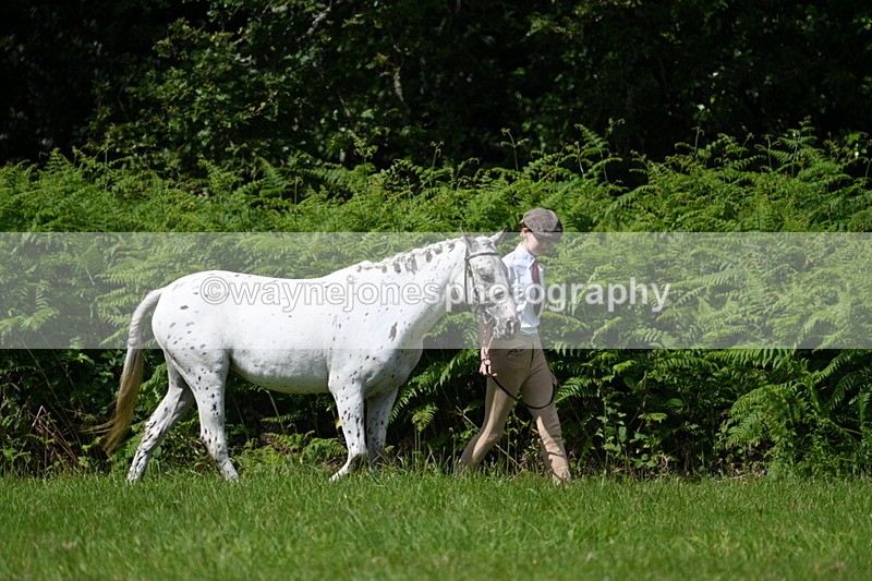 WJ7_1508 - Class 11 Condition & Turnout
