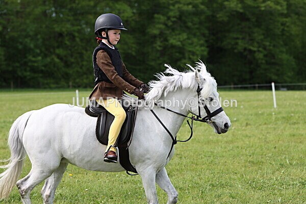 IMG_2236 - Working Hunter