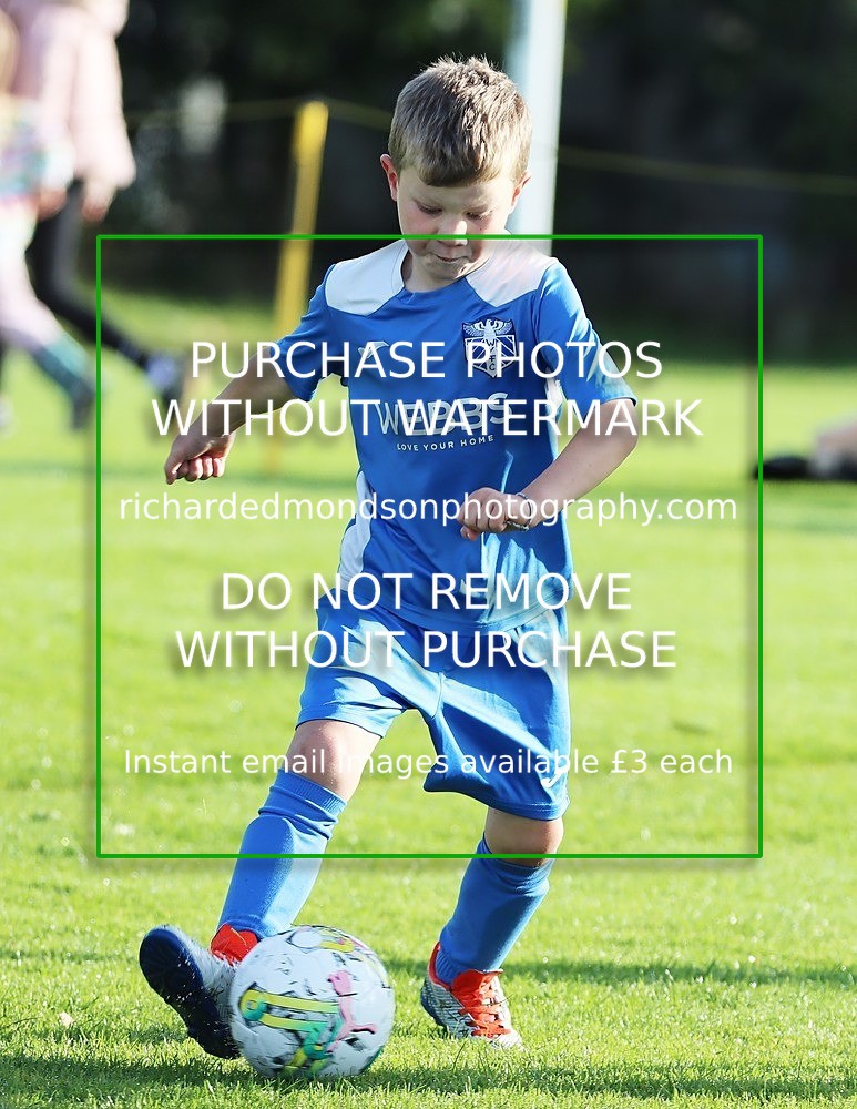 IMG_0148 - Ibis Under 7 vs Wattsfield Under 7 (28/9/24)