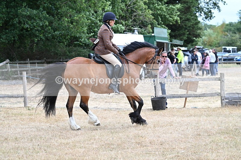 WJ7_0541 - Class 6 Ridden Mountain and Moorland