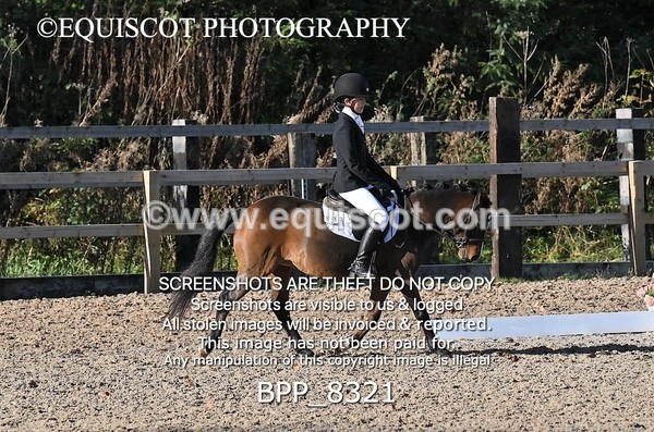 BPP_8321 - LONG ARENA