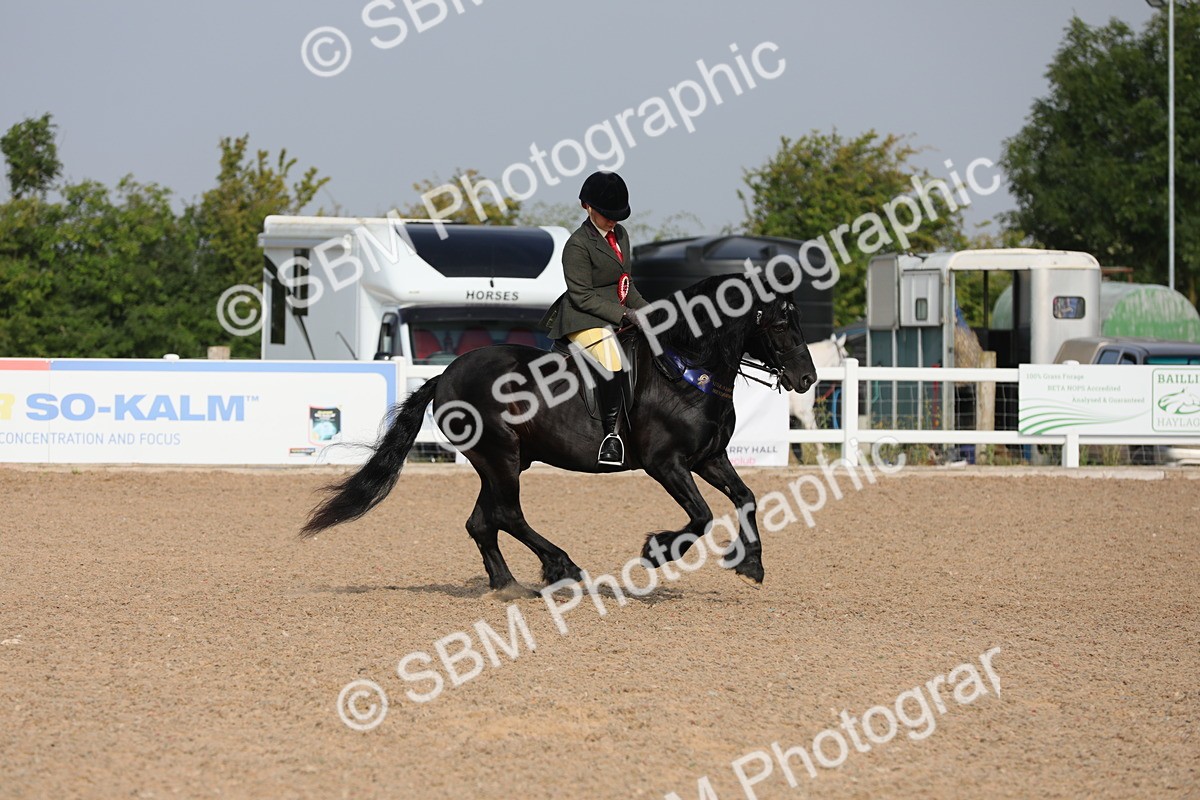 SBM_10182 - Class 302 Ridden M&M -Large Breeds