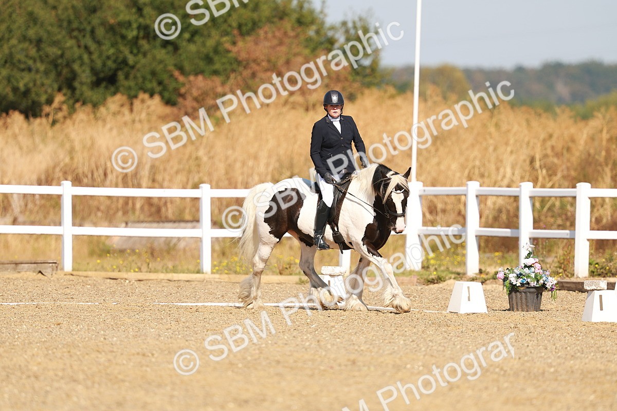 SBM_016771 - Class 9 - N5 Bronze 9.30.10.19