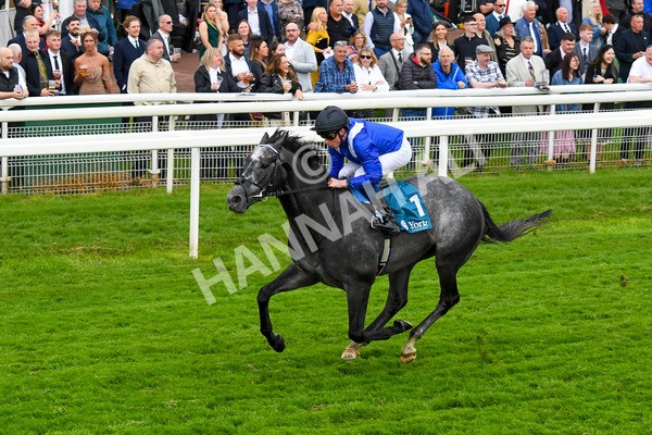 190523-Race 5-Mostabshir-0660 - Race 5 4.10pm Darley Novice Stakes