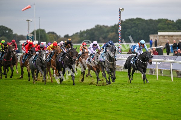 101025-Race 7-Sky Advocate-7144 - Race 7 PJ Staffing Group Apprentice Handicap at York
