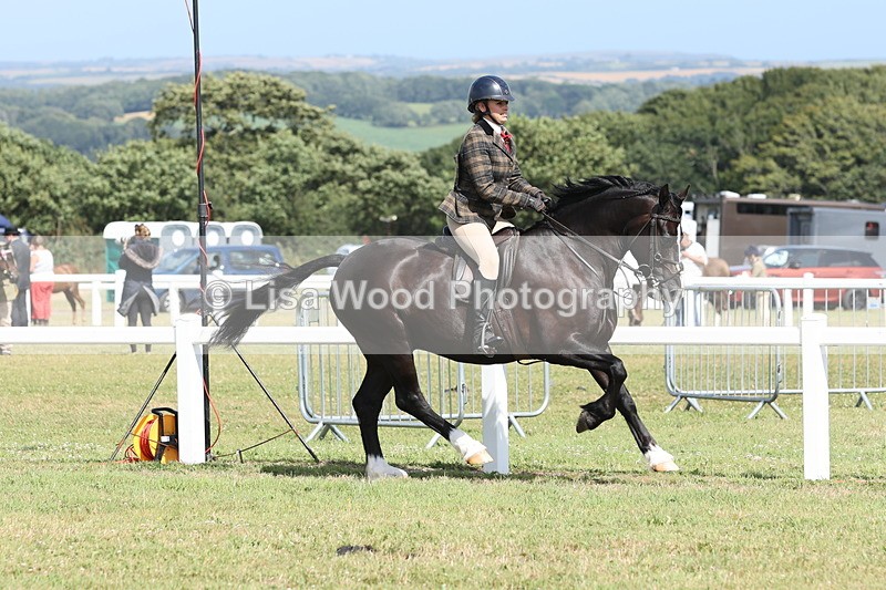 JPP_2290 - Class 19: Working Hunter 60cm