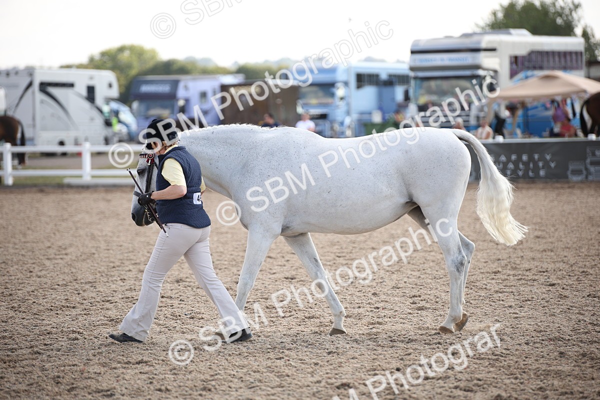 SBM_07103 - Class 25 IH Foreign Breeds- Pure bred