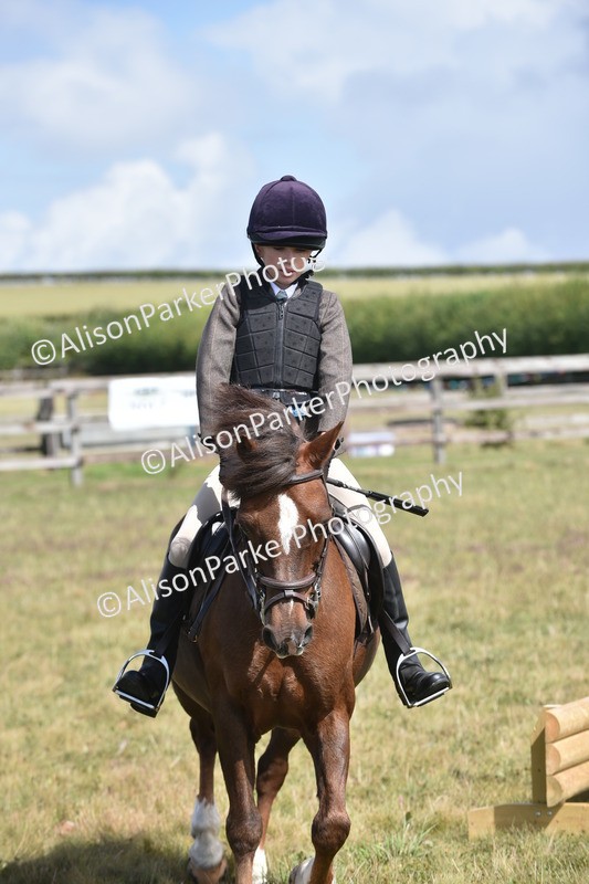 20250831-3931 - Class 11 - Working Hunter Pony 13hh and Under
