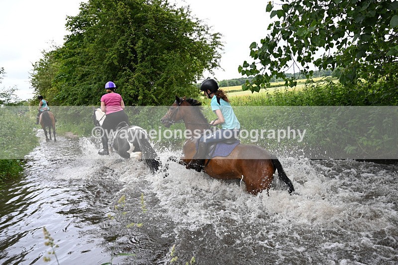 WJ7_2554 - Camera 2 Water Crossing