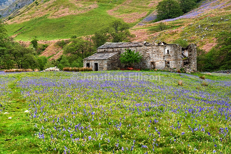 Bluebell Farm - The Yorkshire Dales