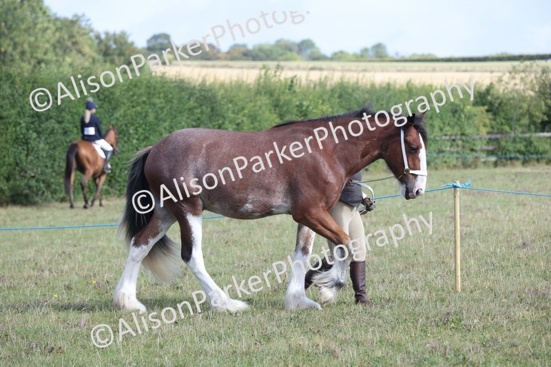 20250831-1324 - Class 21 - Inhand Open