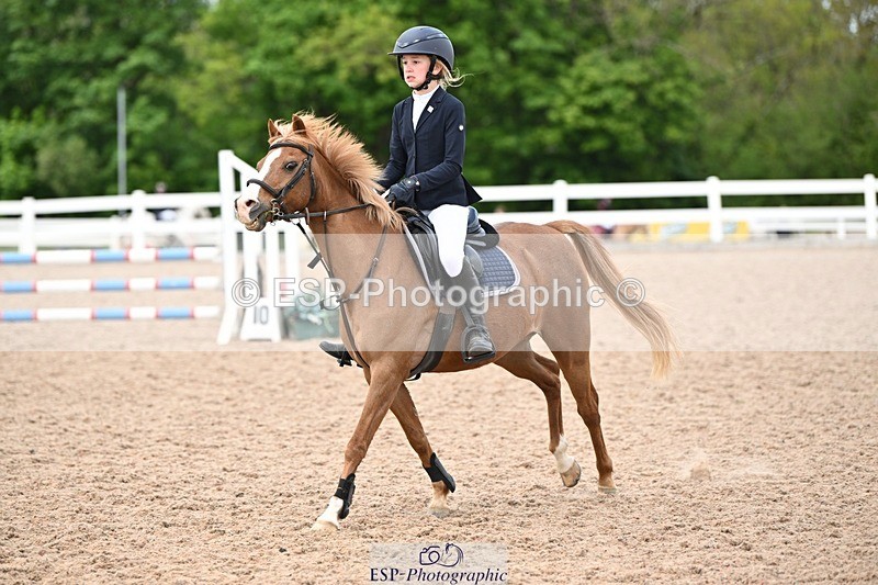 250504-141336-03523 - Cls 23 Stepping Stones