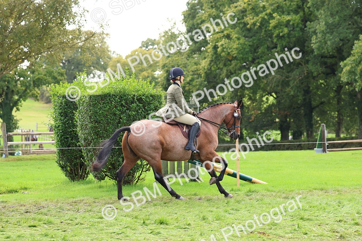 SBM_45205 - S27 - Young Veteran Ridden
