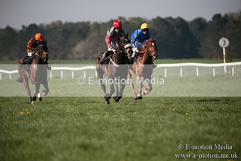 PtP 210418 520 - South & West Wilts Point-to-Point Larkhill 21/04/18